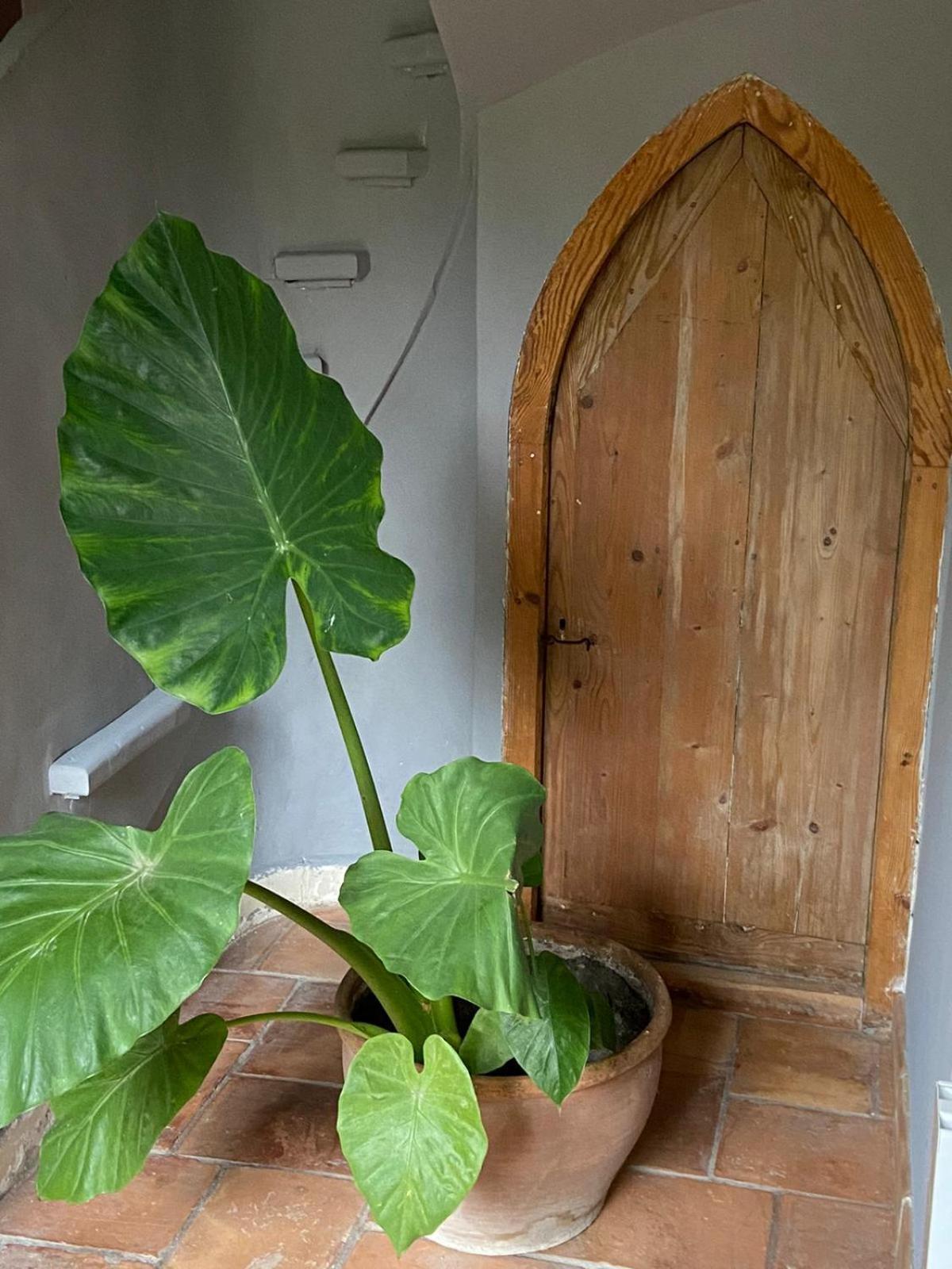 Mas Carita Bed and Breakfast Cabannes Exteriör bild